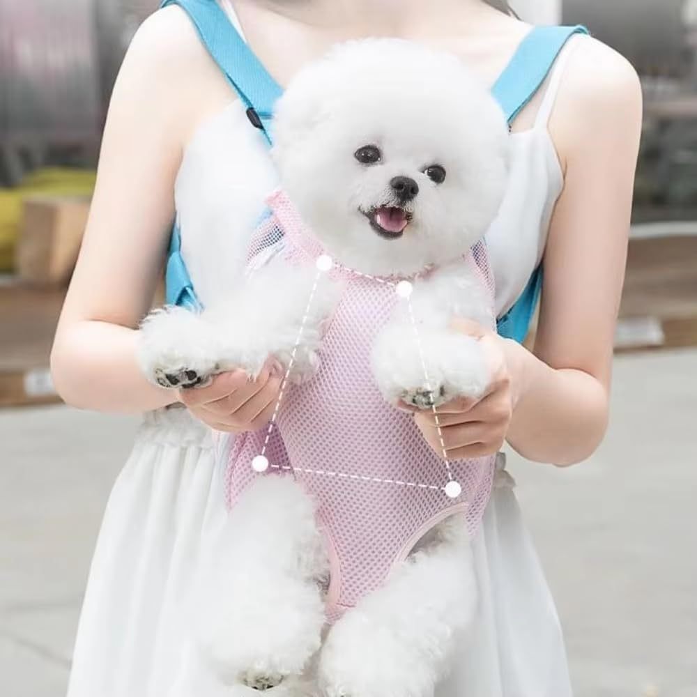 Furry Pawsy Carrier Furry Pawsy Cat