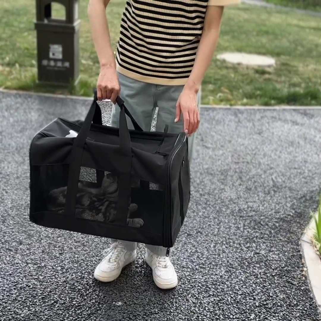 Dog Cat Carriers Bags Car