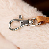 Carrier Bag Backpack Carrier Dog