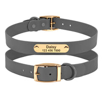 Collar Leash Medium Dog Teddy in gray with gold buckle and ID tag displaying the name Daisy and contact number.