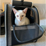 Innovative Traveler Bubble Backpack Pet Carriers