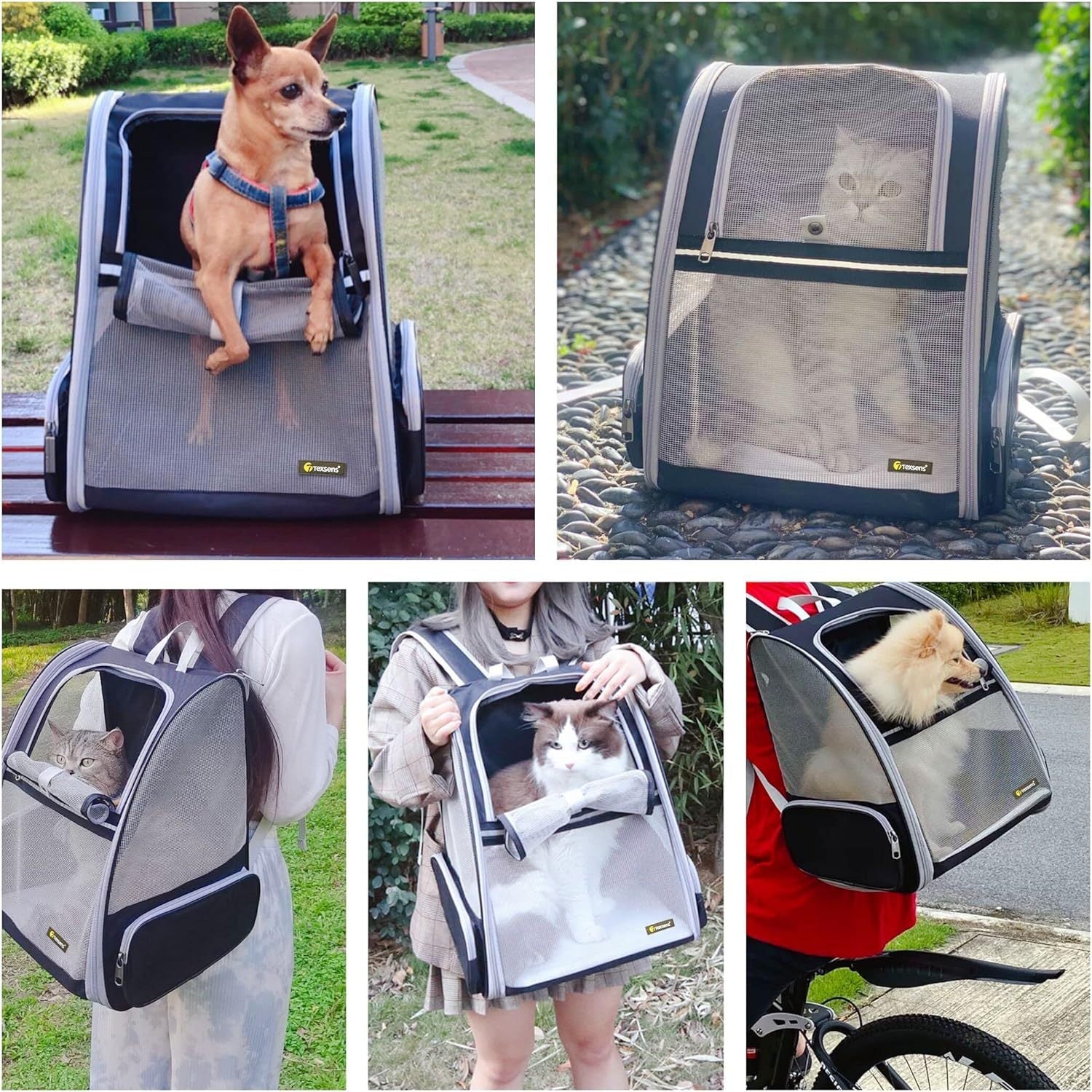 Innovative Traveler Bubble Backpack Pet Carriers